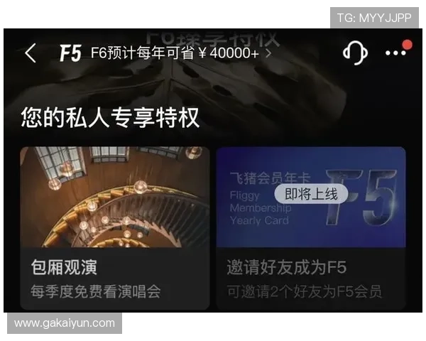 探索白金会F6:解密高端社交平台的魅力与价值